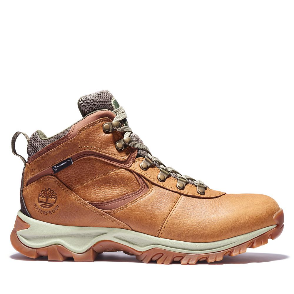 Botas de Montaña Timberland Argentina Hombre - Mt. Maddsen Mid Waterproof - Marrones - DZJKHM-138